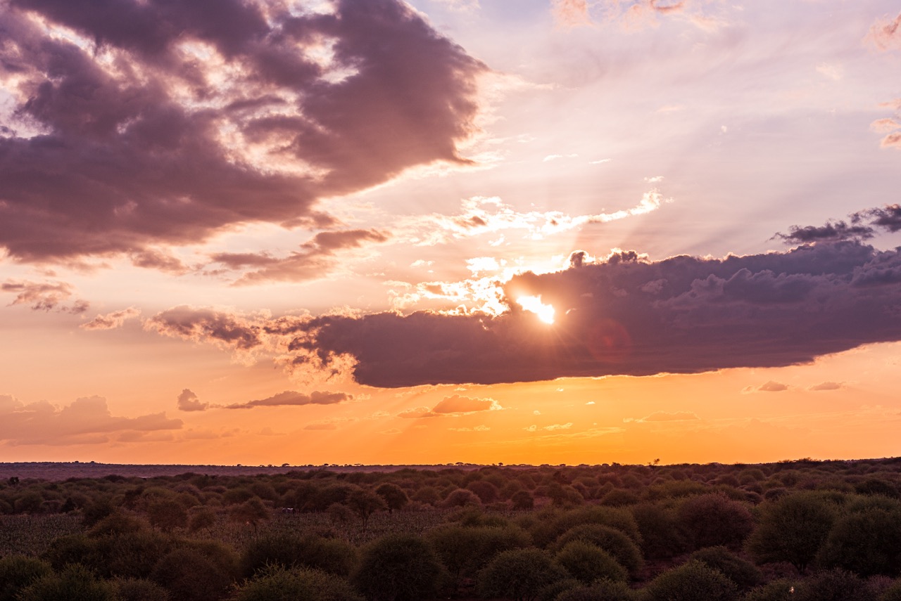 mount-kilimanjaro-is-the-name-of-the-tallest-mount-2023-07-07-19-20-55-utc Large