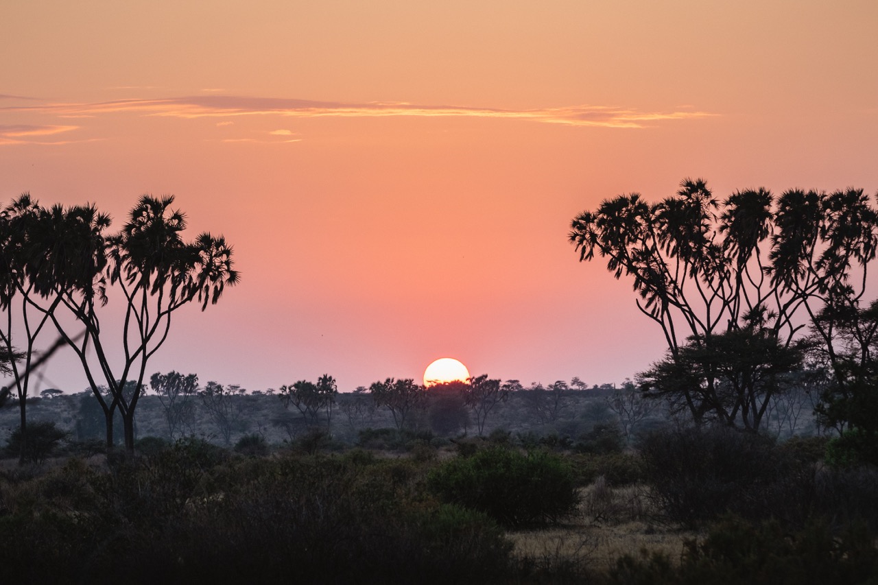 sunrise-in-samburu-national-reserve-north-kenya-2021-09-03-16-18-13-utc Large